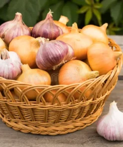 Fresh Carlic 250g